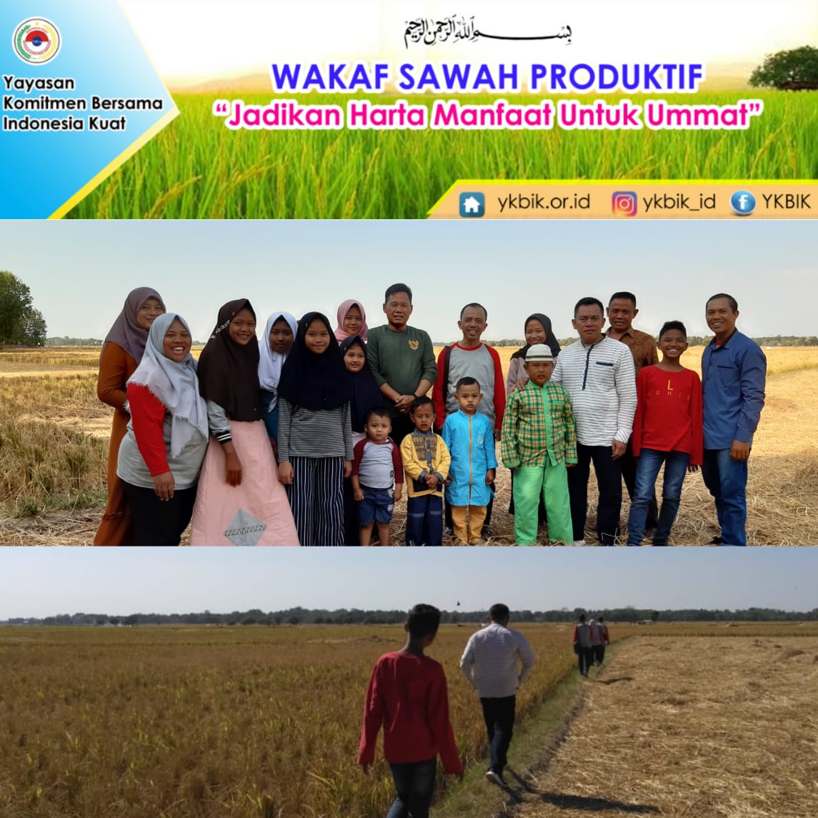 Wakaf Sawah Produktif