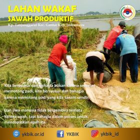 Wakaf Tunai Sawah Produktif