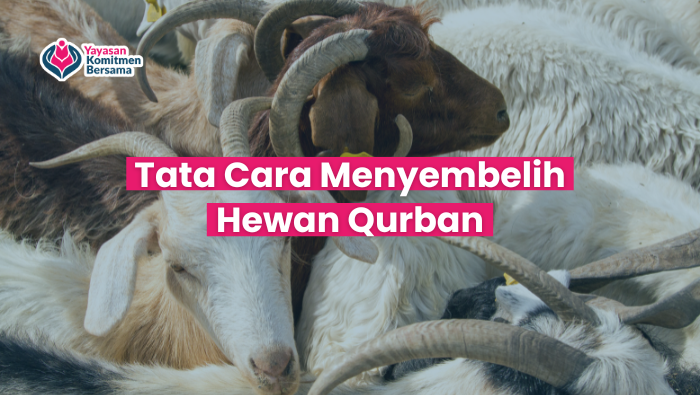 Tata Cara Menyembelih Hewan Qurban - Yayasan Komitmen Bersama