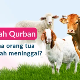 Bolehkah Qurban untuk Orang yang Sudah Meninggal? Ini Penjelasannya